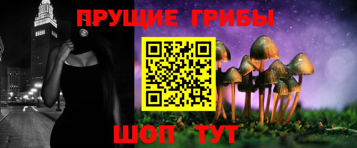 Чернушка  наркошоп  Вход с VPN  Галлюциногенные грибы мицелий  Псилоцибиновые грибы Psilocybe 